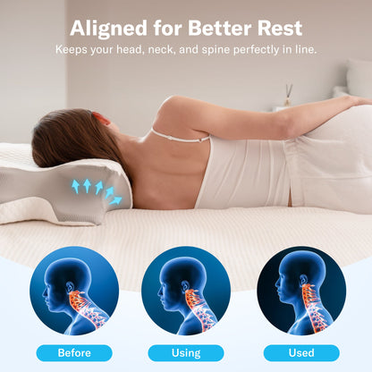 PandaSleepy Cervical Memory Foam Pillow